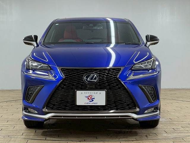 TOYOTA LEXUS NX300h AWD 2018