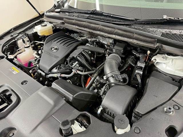 TOYOTA LEXUS RX500h 2023