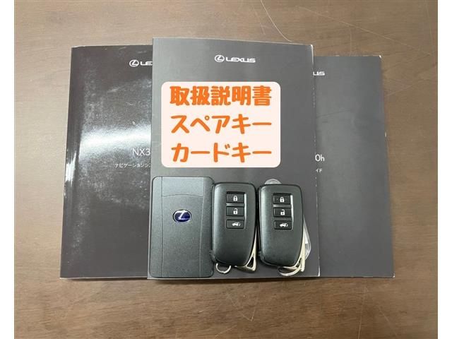 TOYOTA LEXUS NX300h 2019