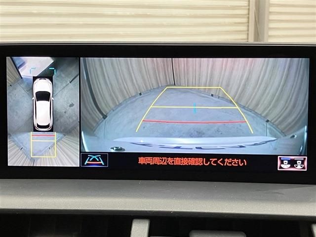 TOYOTA LEXUS NX300h 2019