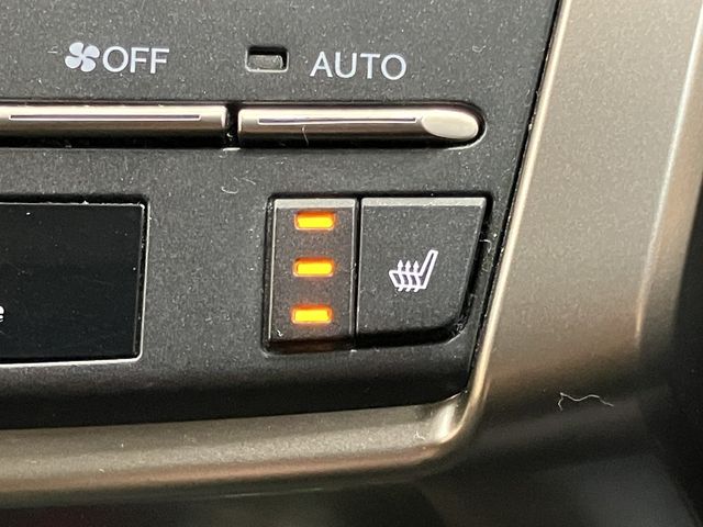 TOYOTA LEXUS NX300h 2019