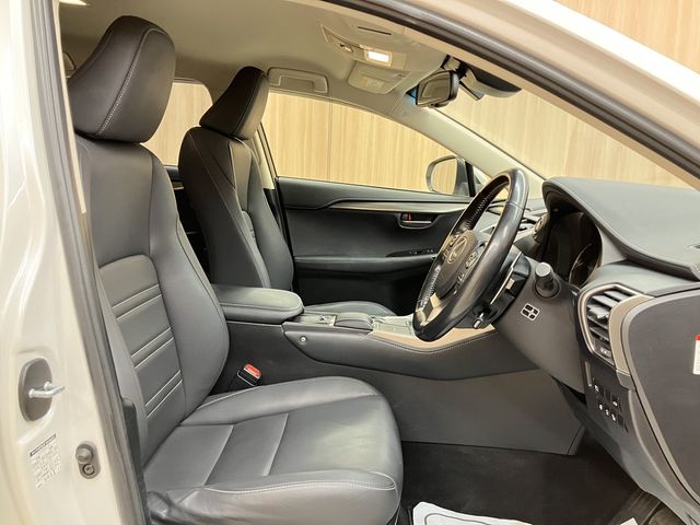 TOYOTA LEXUS NX300h 2019