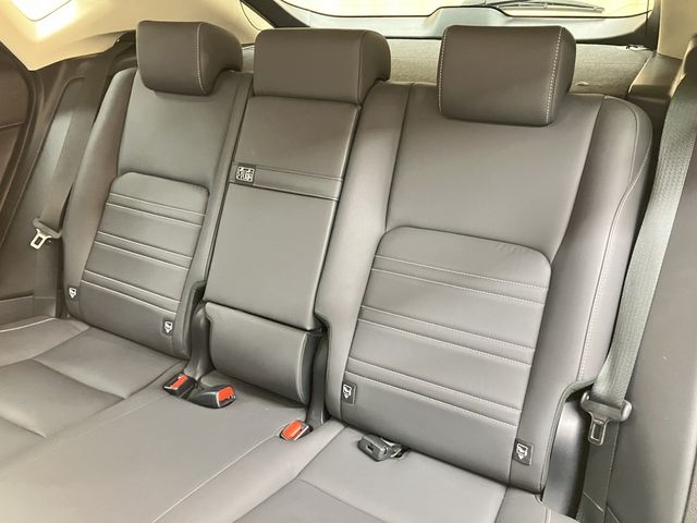 TOYOTA LEXUS NX300h 2019