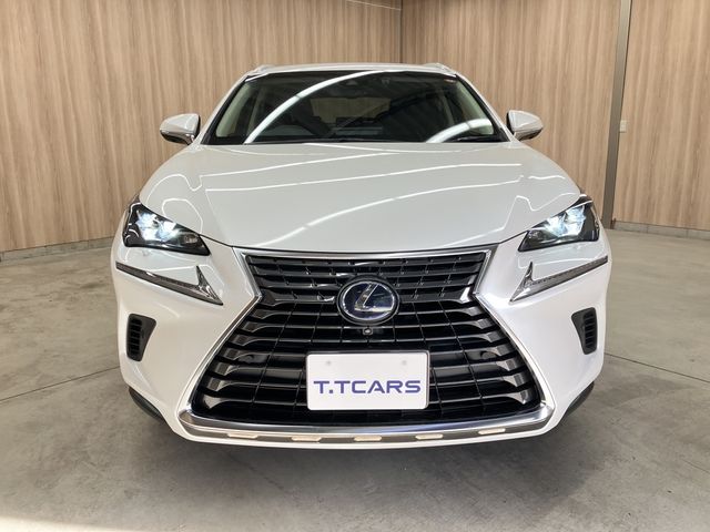 TOYOTA LEXUS NX300h 2019