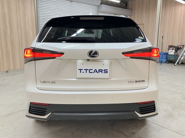 TOYOTA LEXUS NX300h 2019