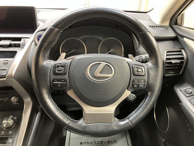 TOYOTA LEXUS NX300h 2019