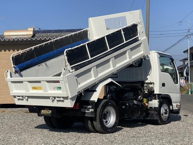 ISUZU ELF 2019