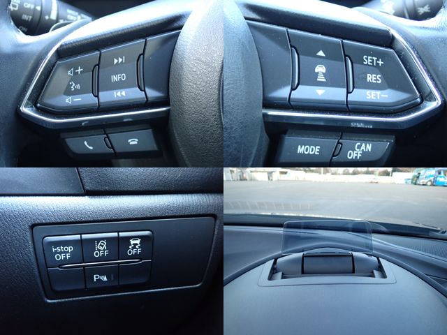 MAZDA AXELA SPORTS 2017