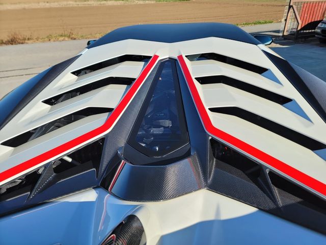 LAMBORGHINI LAMBORGHINI Aventador Roadster 2019