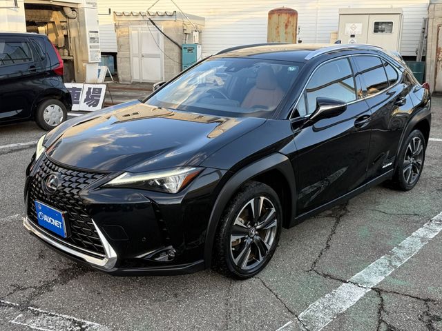 TOYOTA LEXUS UX250h AWD 2020