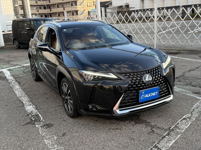TOYOTA LEXUS UX250h AWD 2020