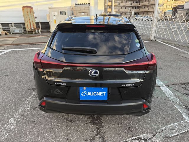 TOYOTA LEXUS UX250h AWD 2020
