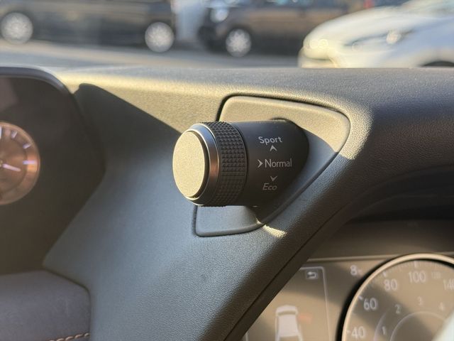 TOYOTA LEXUS UX250h AWD 2020