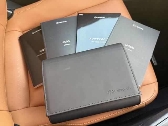 TOYOTA LEXUS UX250h AWD 2020