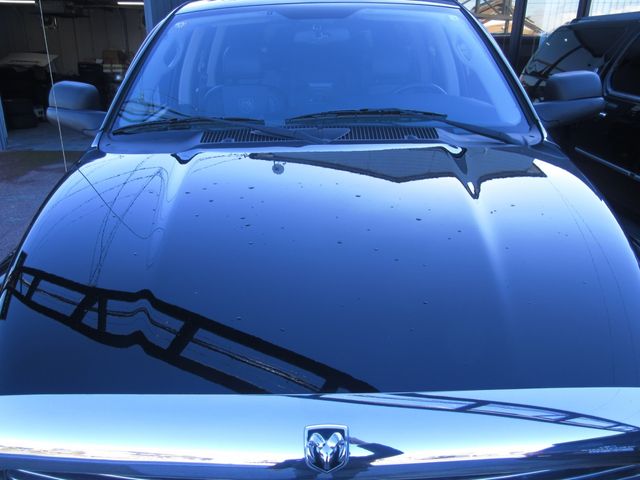 DODGE DODGE RAM pickup truck 2004