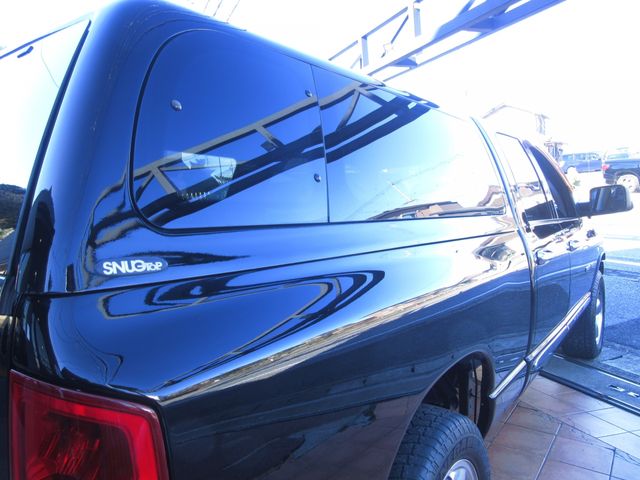 DODGE DODGE RAM pickup truck 2004