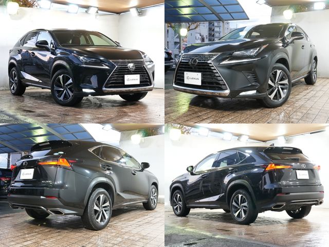 TOYOTA LEXUS NX300 2017