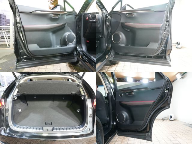 TOYOTA LEXUS NX300 2017