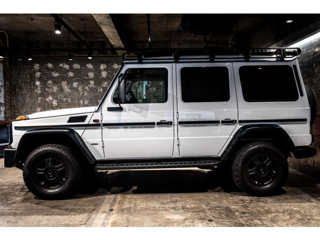 MERCEDES BENZ MERCEDES BENZ G class 2019