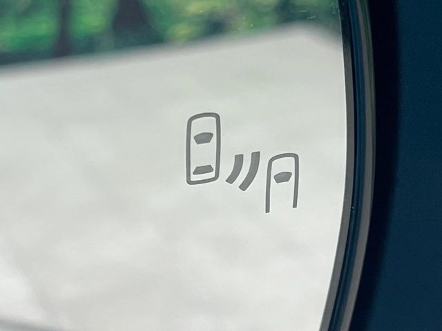 TOYOTA RAIZE HYBRID 2024