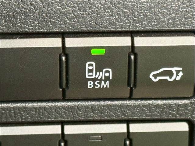 TOYOTA LEXUS NX300h 2019