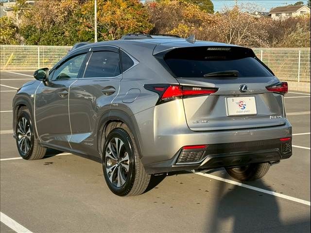 TOYOTA LEXUS NX300h 2019