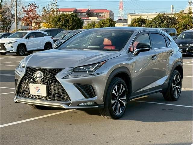 TOYOTA LEXUS NX300h 2019