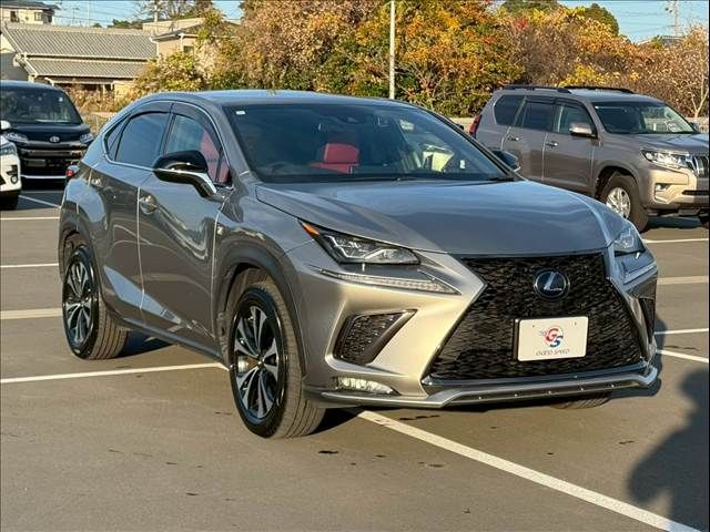 TOYOTA LEXUS NX300h 2019