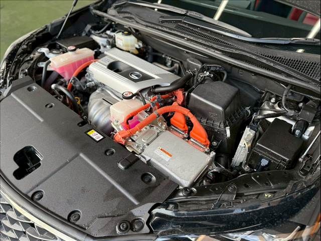 TOYOTA LEXUS NX300h 2019