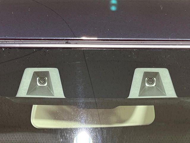 SUZUKI HUSTLER 4WD 2025