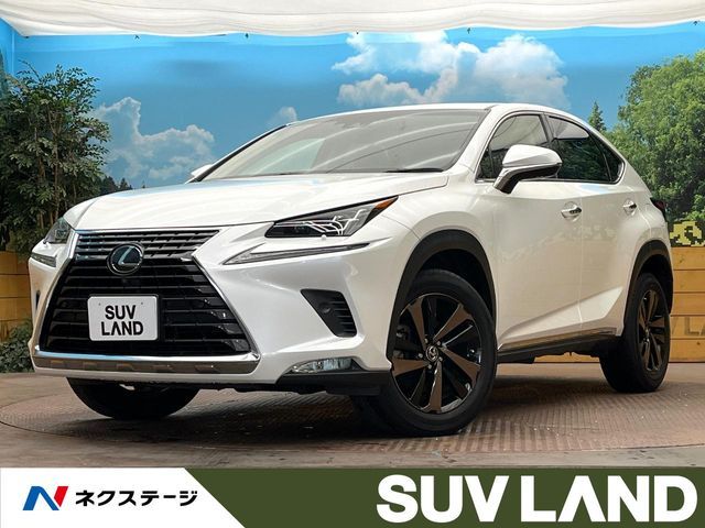 TOYOTA LEXUS NX300 2019 
