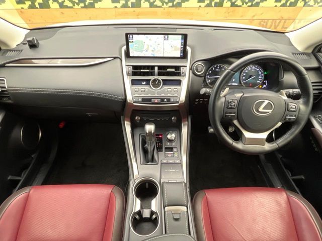 TOYOTA LEXUS NX300 2019