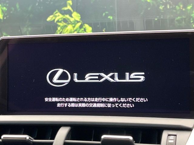 TOYOTA LEXUS NX300 2019