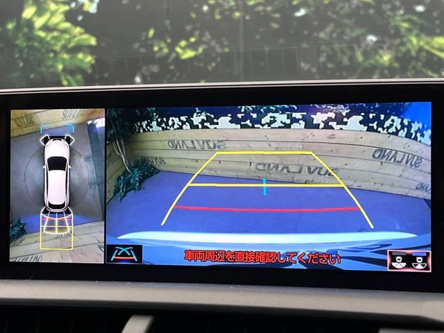 TOYOTA LEXUS NX300 2019