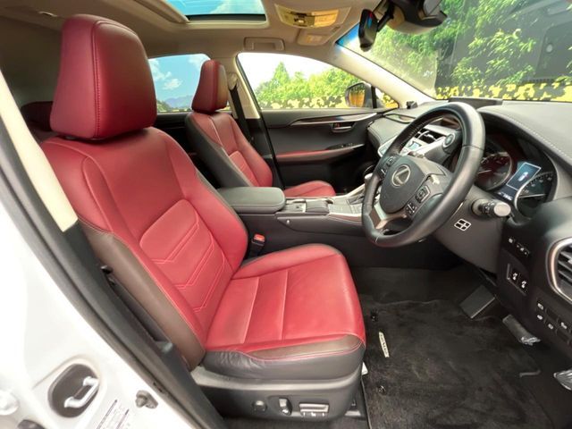 TOYOTA LEXUS NX300 2019