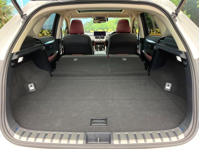 TOYOTA LEXUS NX300 2019