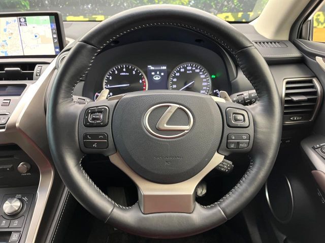 TOYOTA LEXUS NX300 2019