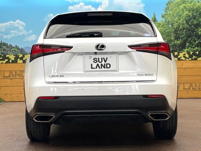 TOYOTA LEXUS NX300 2019