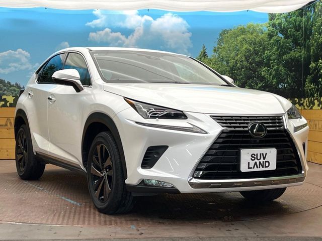 TOYOTA LEXUS NX300 2019