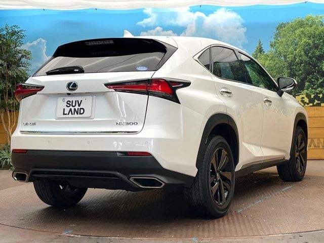 TOYOTA LEXUS NX300 2019