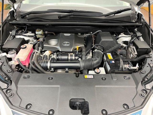 TOYOTA LEXUS NX300 2019