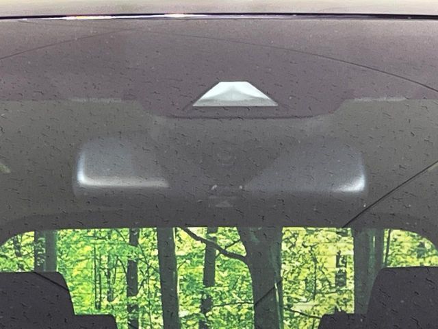 TOYOTA ALPHARD 4WD 2021