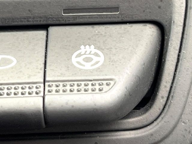 RENAULT RENAULT LUTECIA 2022