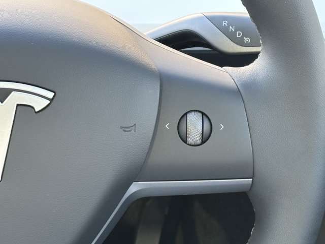 TESLA TESLA MODEL Y 2023