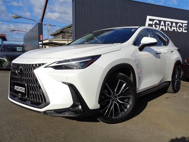 TOYOTA LEXUS NX350h 2023