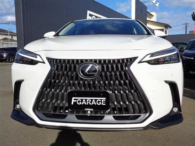 TOYOTA LEXUS NX350h 2023