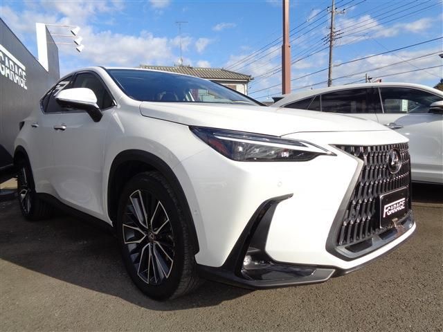 TOYOTA LEXUS NX350h 2023