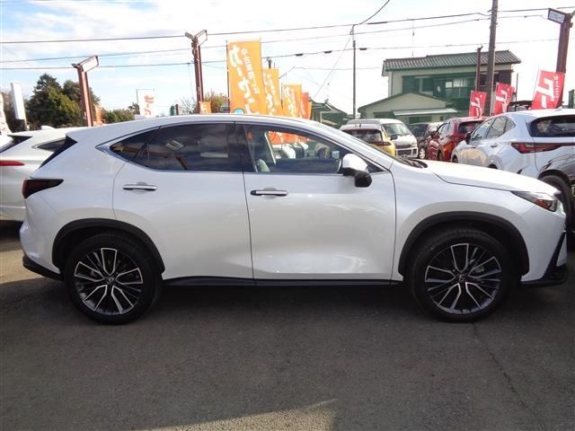 TOYOTA LEXUS NX350h 2023