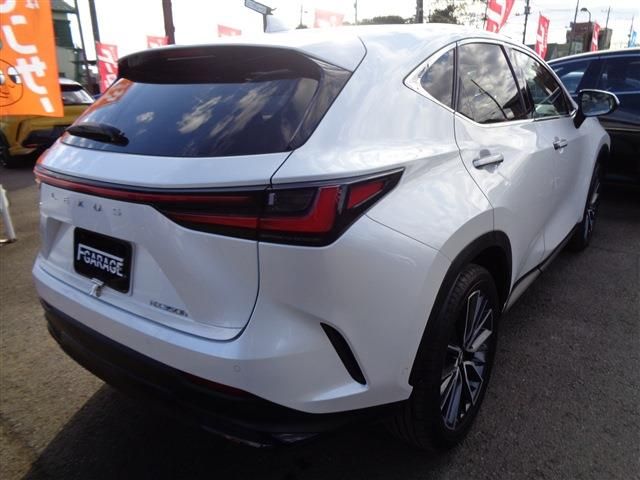 TOYOTA LEXUS NX350h 2023