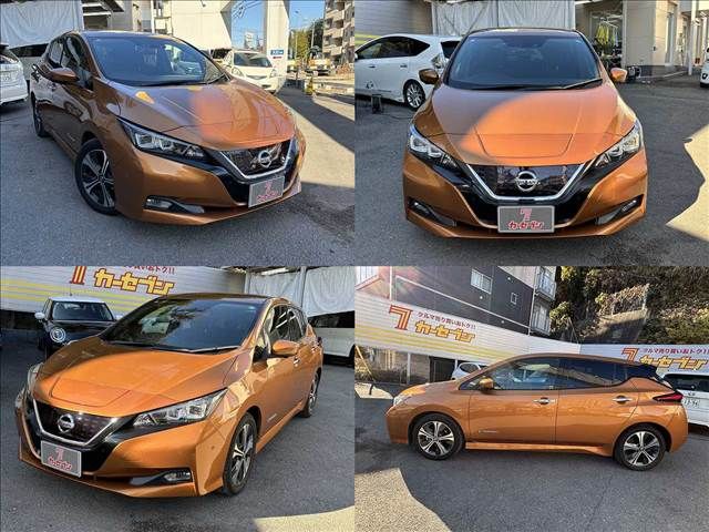 NISSAN LEAF 2019